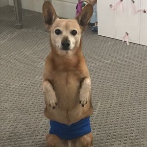 Meet your Posher, William